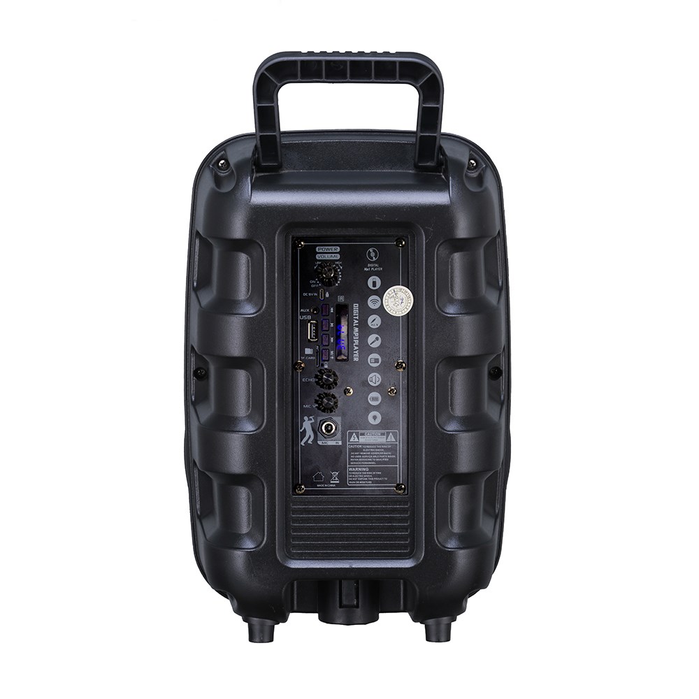 Zore PK-17 FM Radyolu Mikrofonlu RGB TWS 8 inç Stereo Bass Kablosuz Karaoke Hoparlör