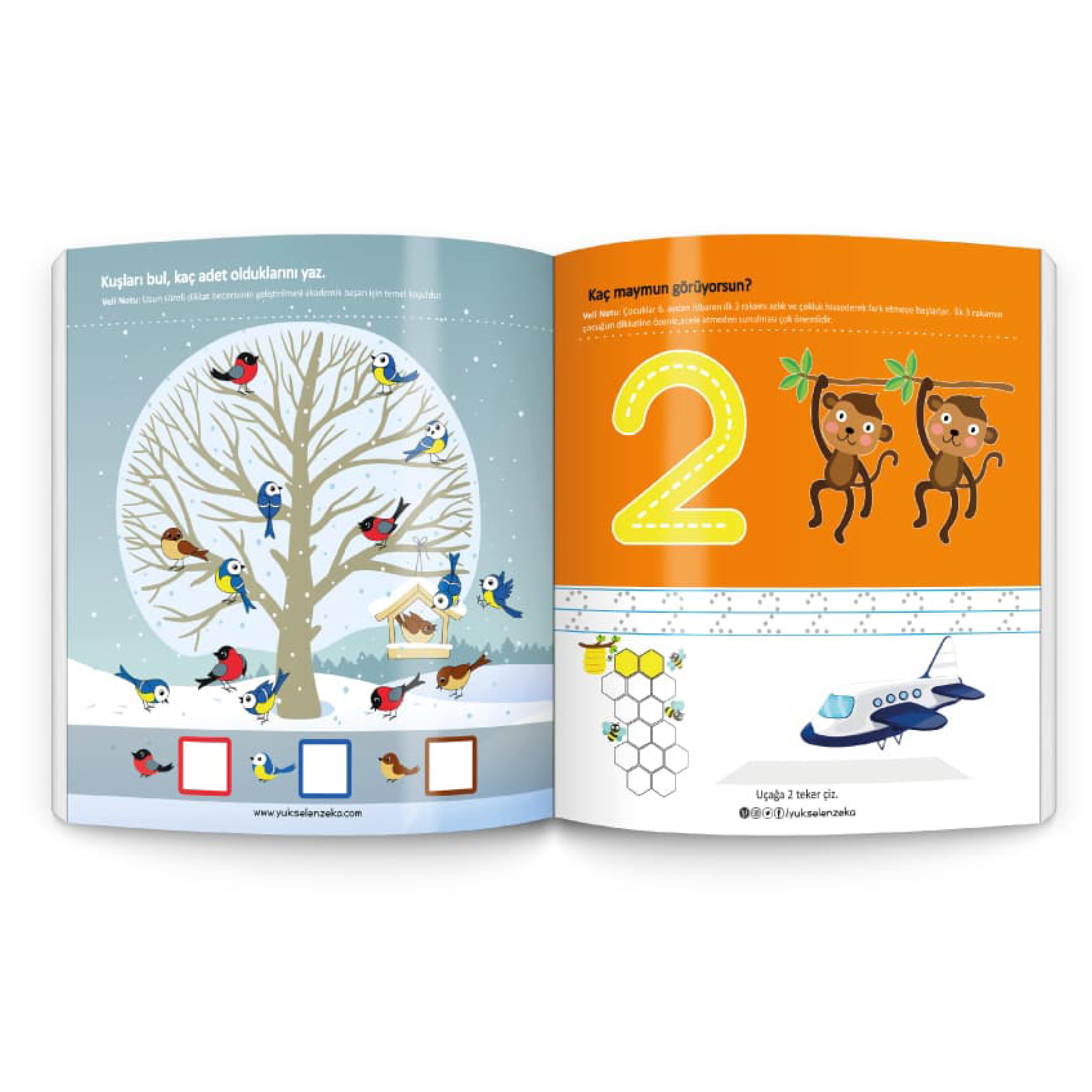İlk Matematik Düşünme Becerileri Kitabım Yaz-Sil 2-4 Yaş