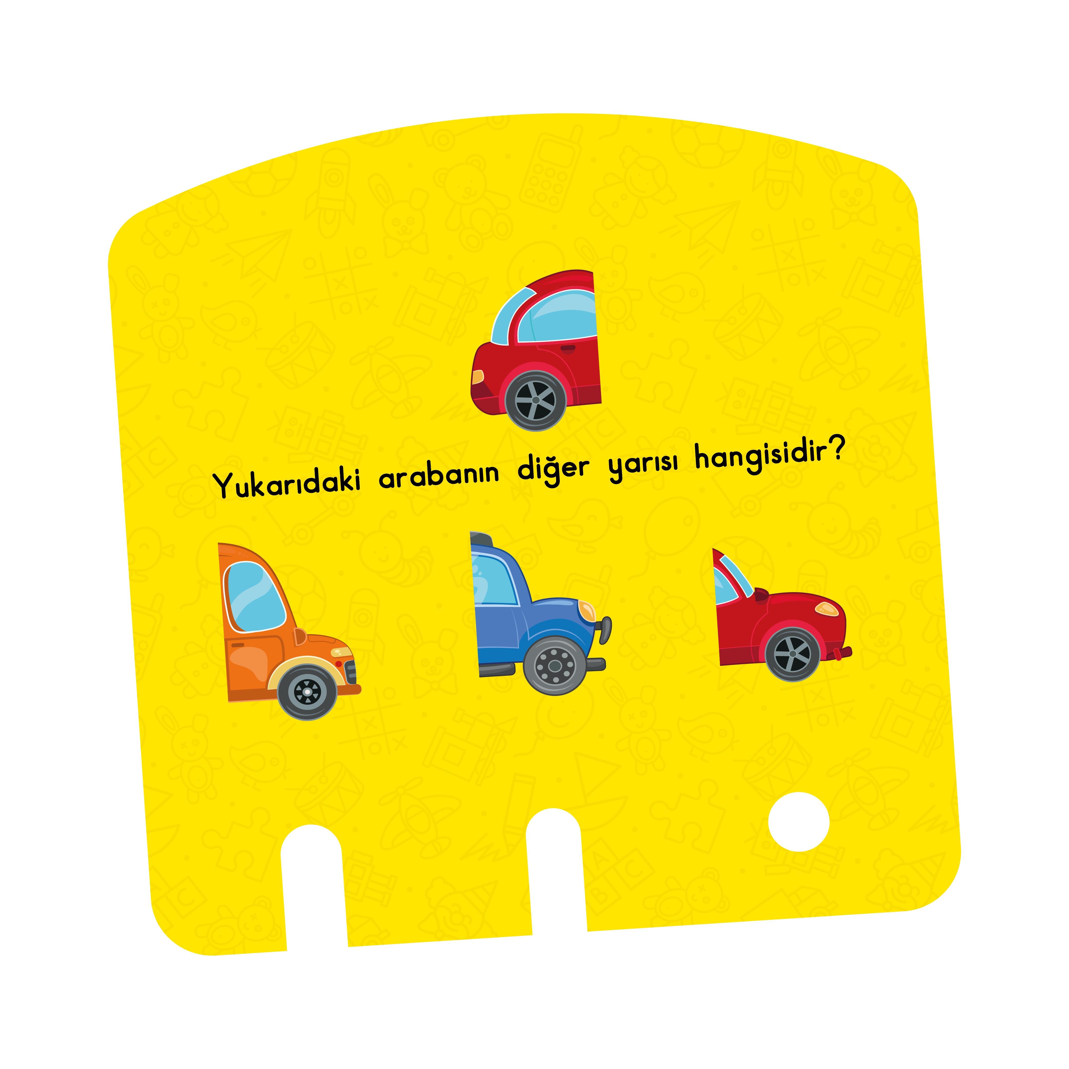 Zeka Kutusu 16-24 Ay