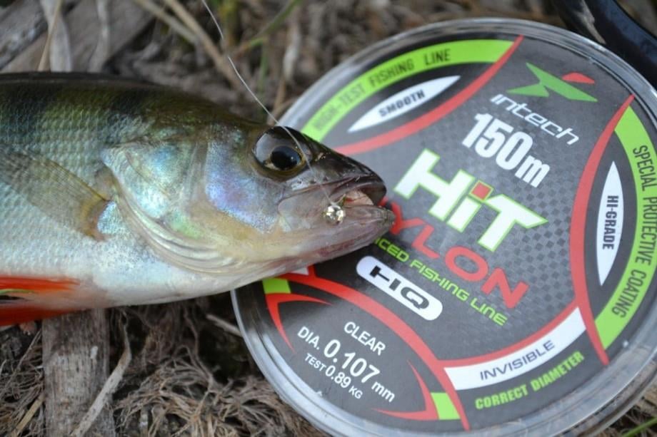 Intech Hit Nylon Monofilament Misina