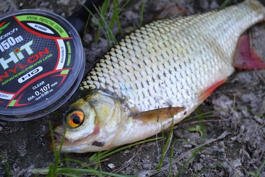 Intech Hit Nylon Monofilament Misina