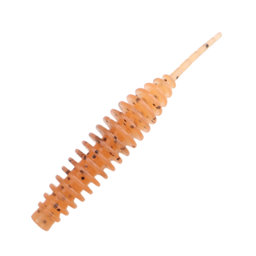 Leech