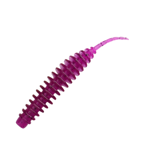 Leech