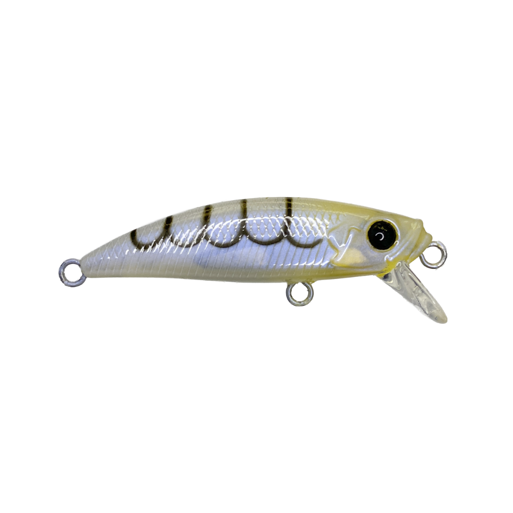 Micro Dart