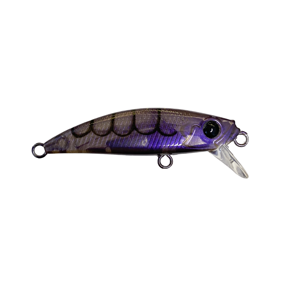 Micro Dart