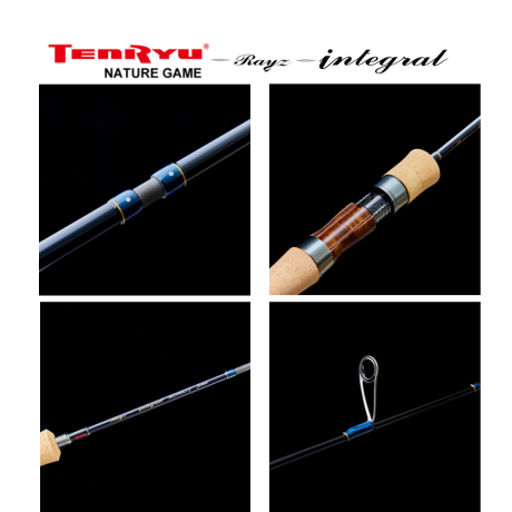 Tenryu Rayz İntegral