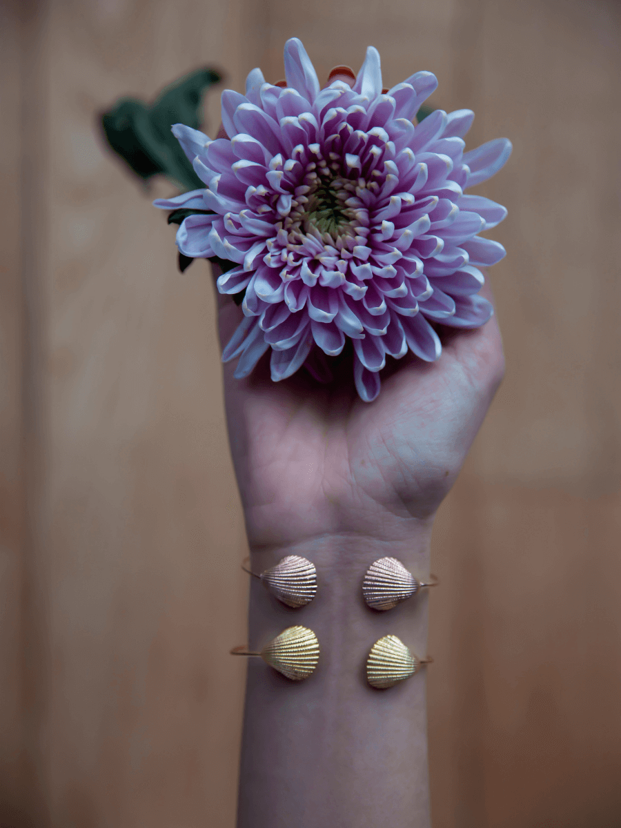 İkili Deniz Kabuğu Kelepçe