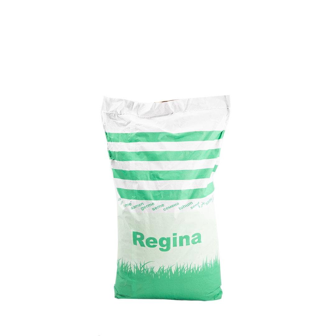 Çim Tohumu Gölge Alanlar 10 KG