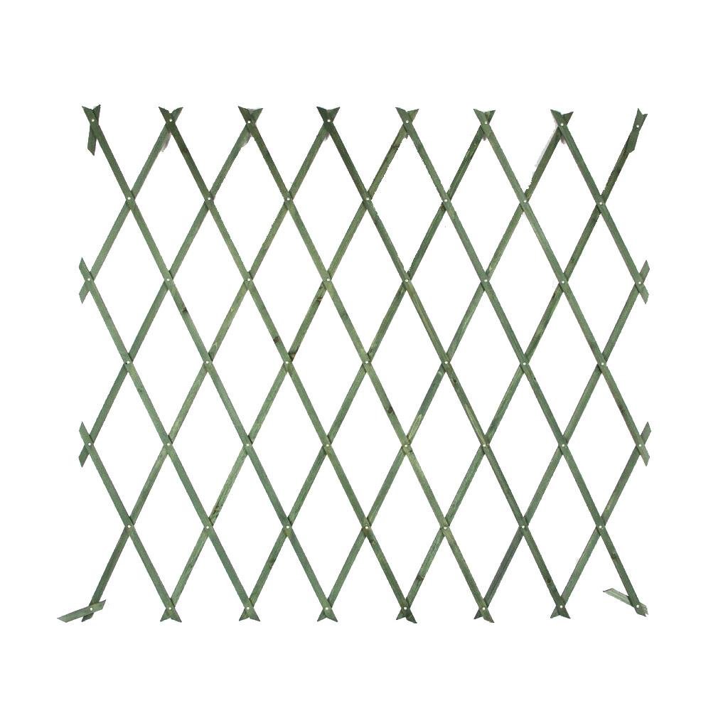 Çıtçıtlı Çam Ağacı Çit