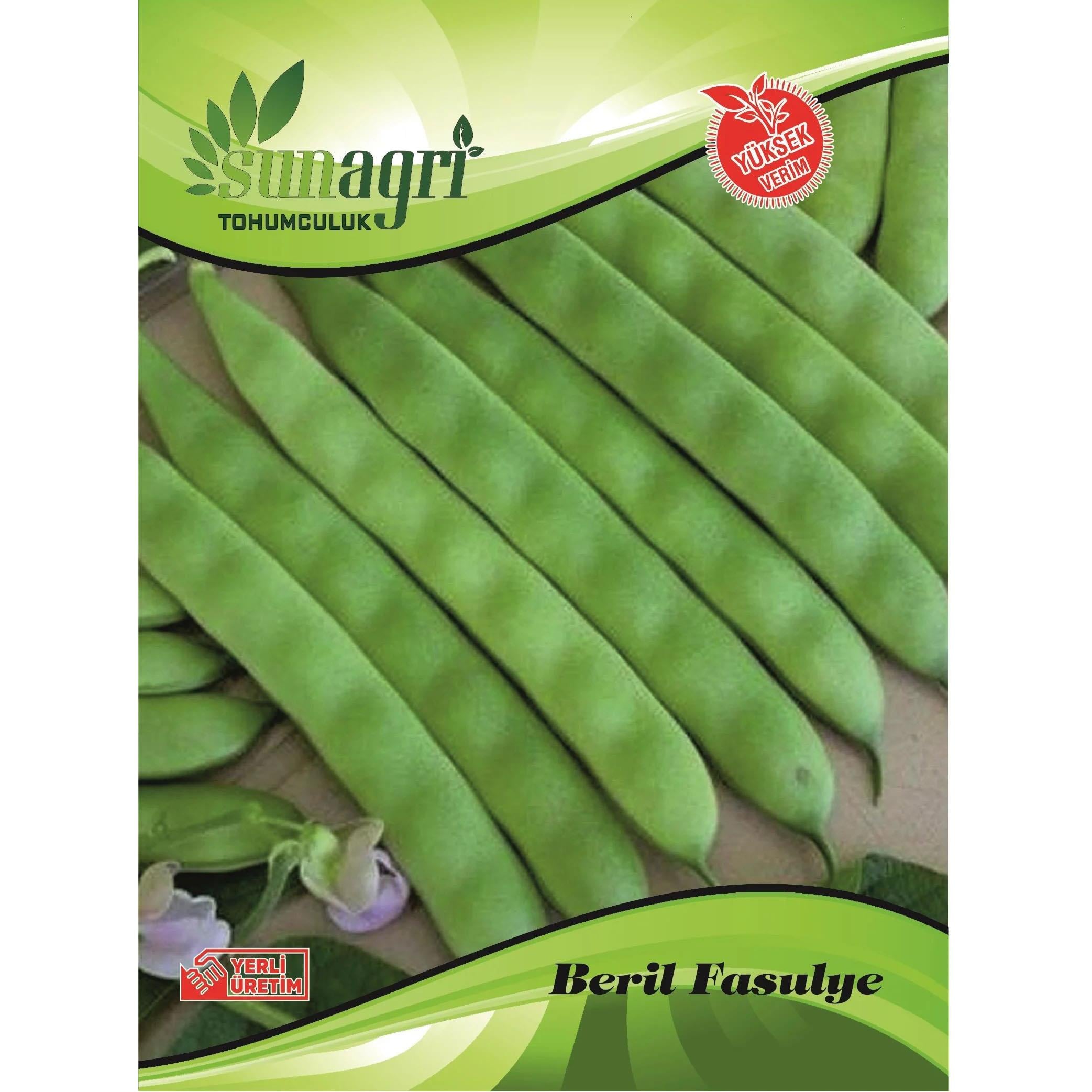 Fasulye (Beril) Sebze Tohumu