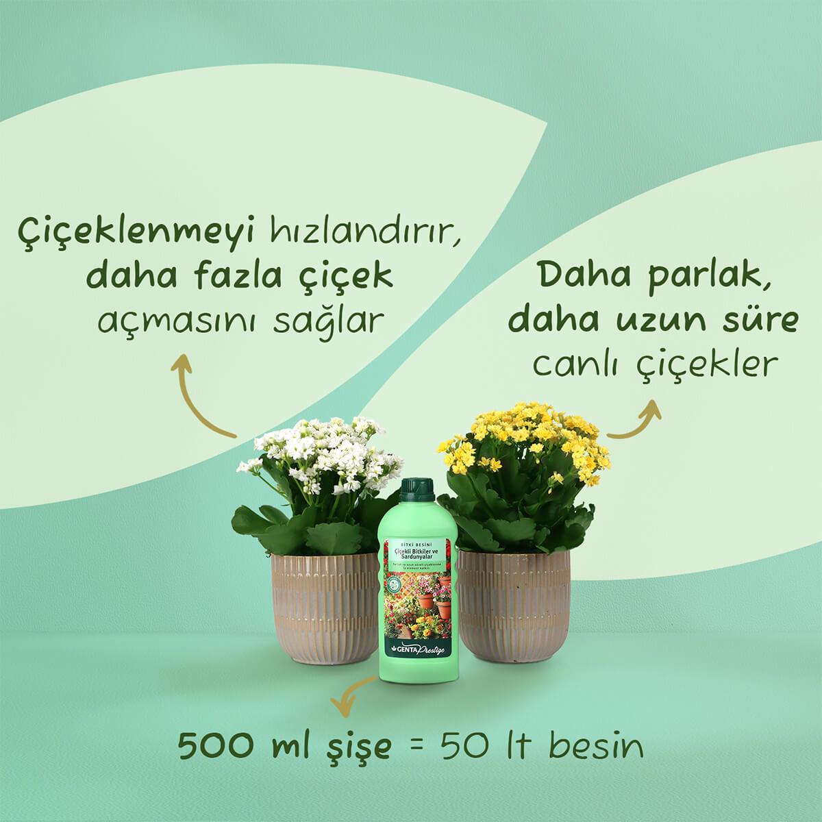 Genta Çiçekli Bitki ve Sardunya için Sıvı Besin (500 Ml)