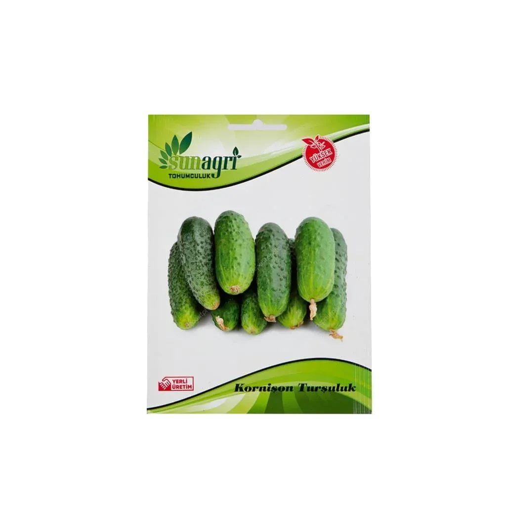 Kornişon Salatalık Tohumu Sunagri