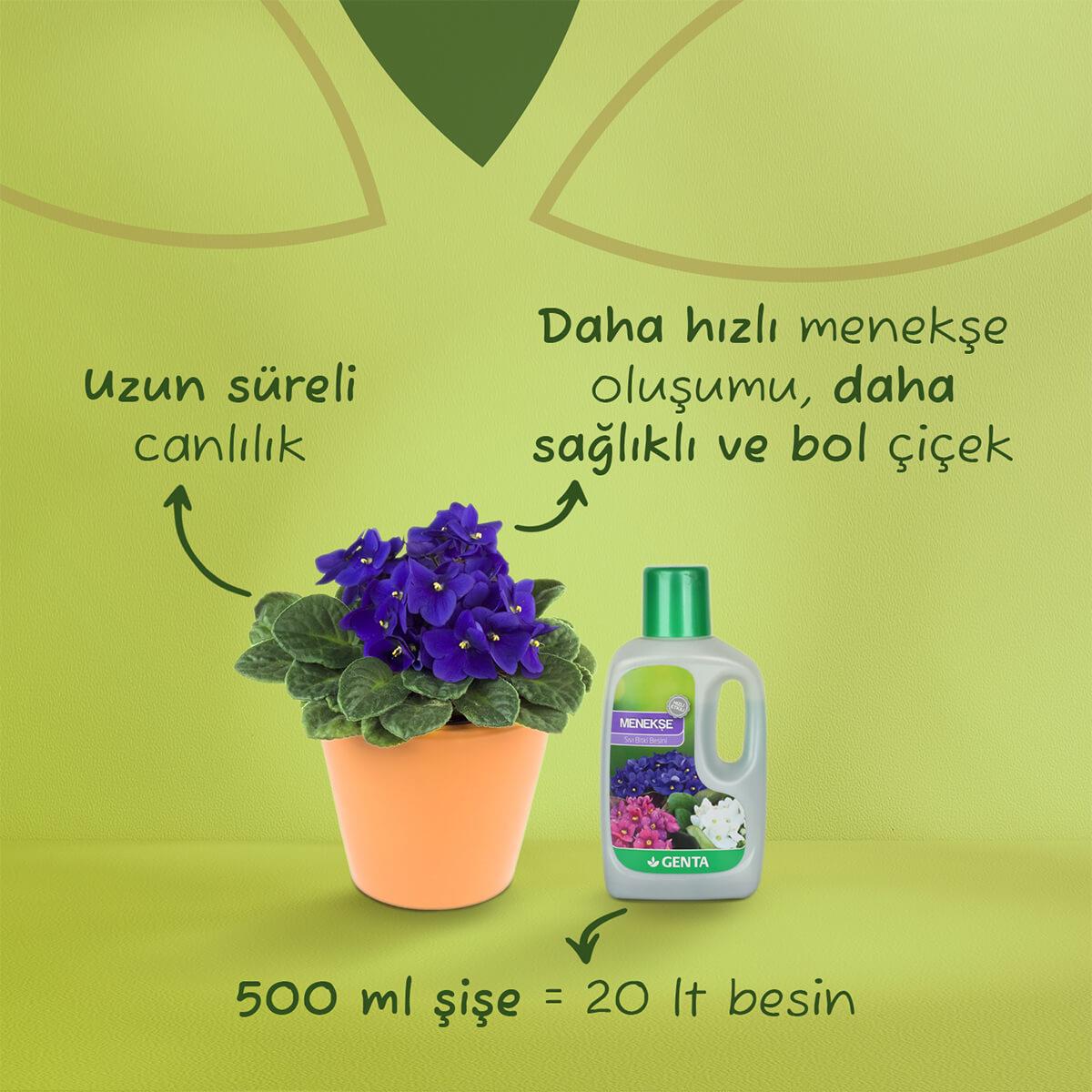 Menekşeler için Sıvı Besin