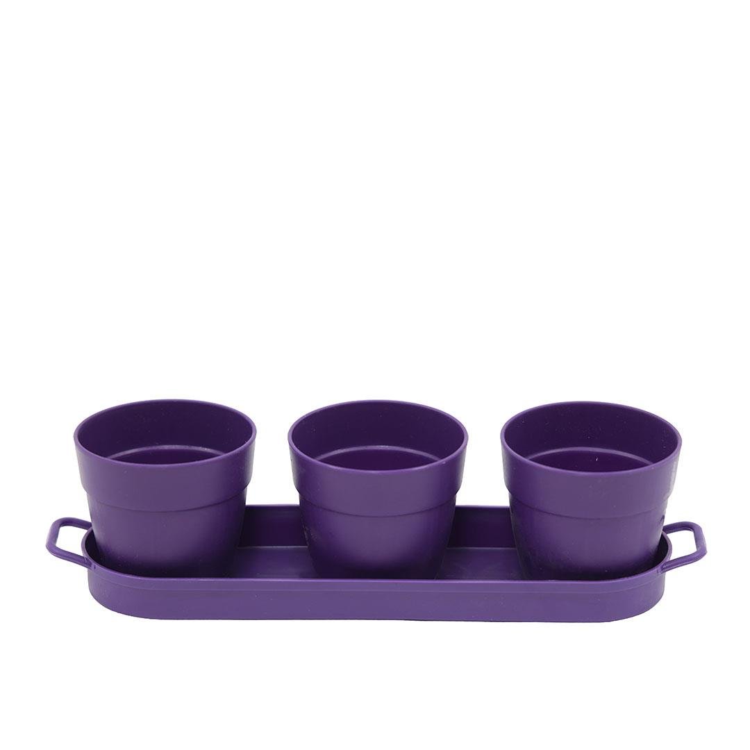 Poliwork 3'lü Set Kaktüs Saksı Mix 0,11 Lt 235*60*60 Mm