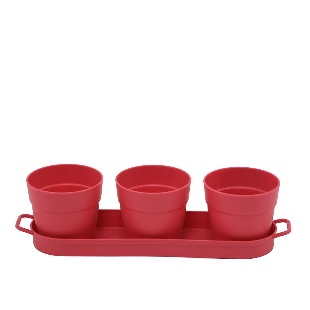 Poliwork 3'lü Set Kaktüs Saksı Mix 0,4 Lt 335*95*90 Mm