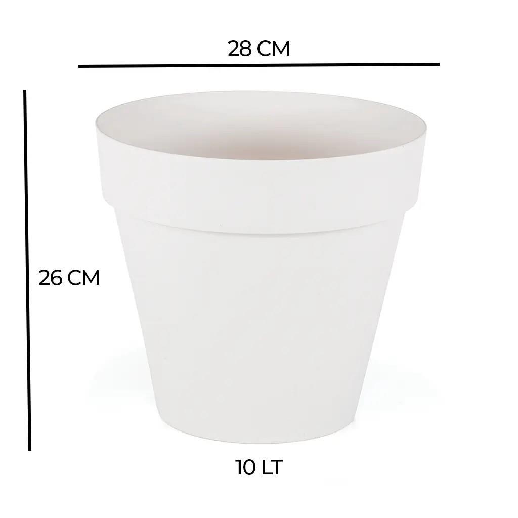 Şeflera 100-125 cm, alacalı yapraklı, bambu destekli siyah saksıda