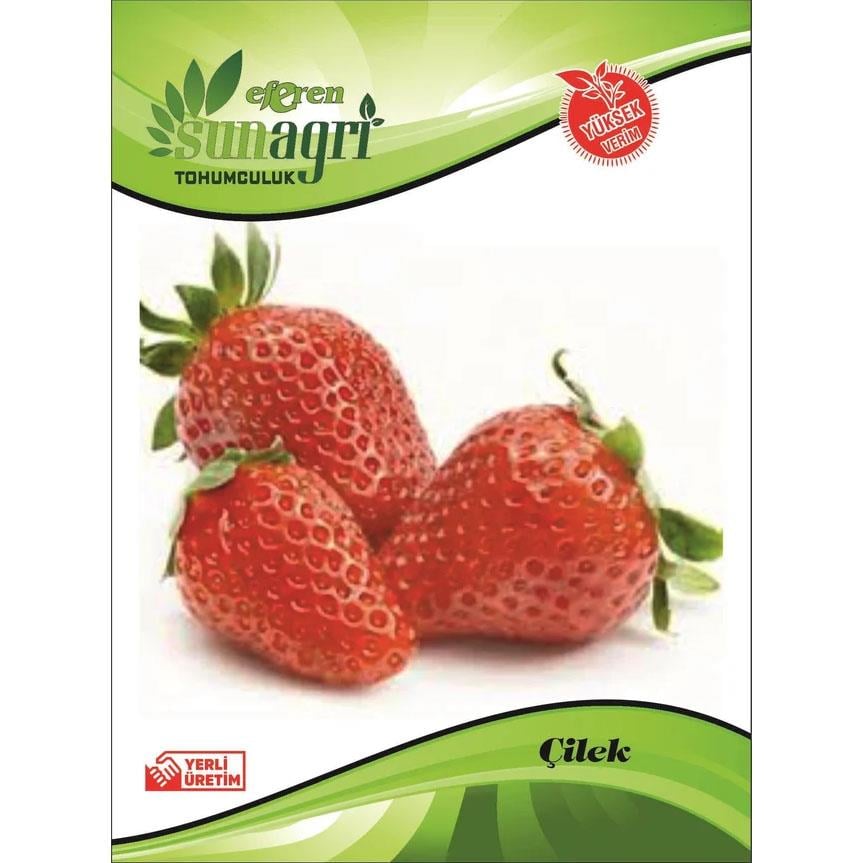Sunagri Çilek Tohumu