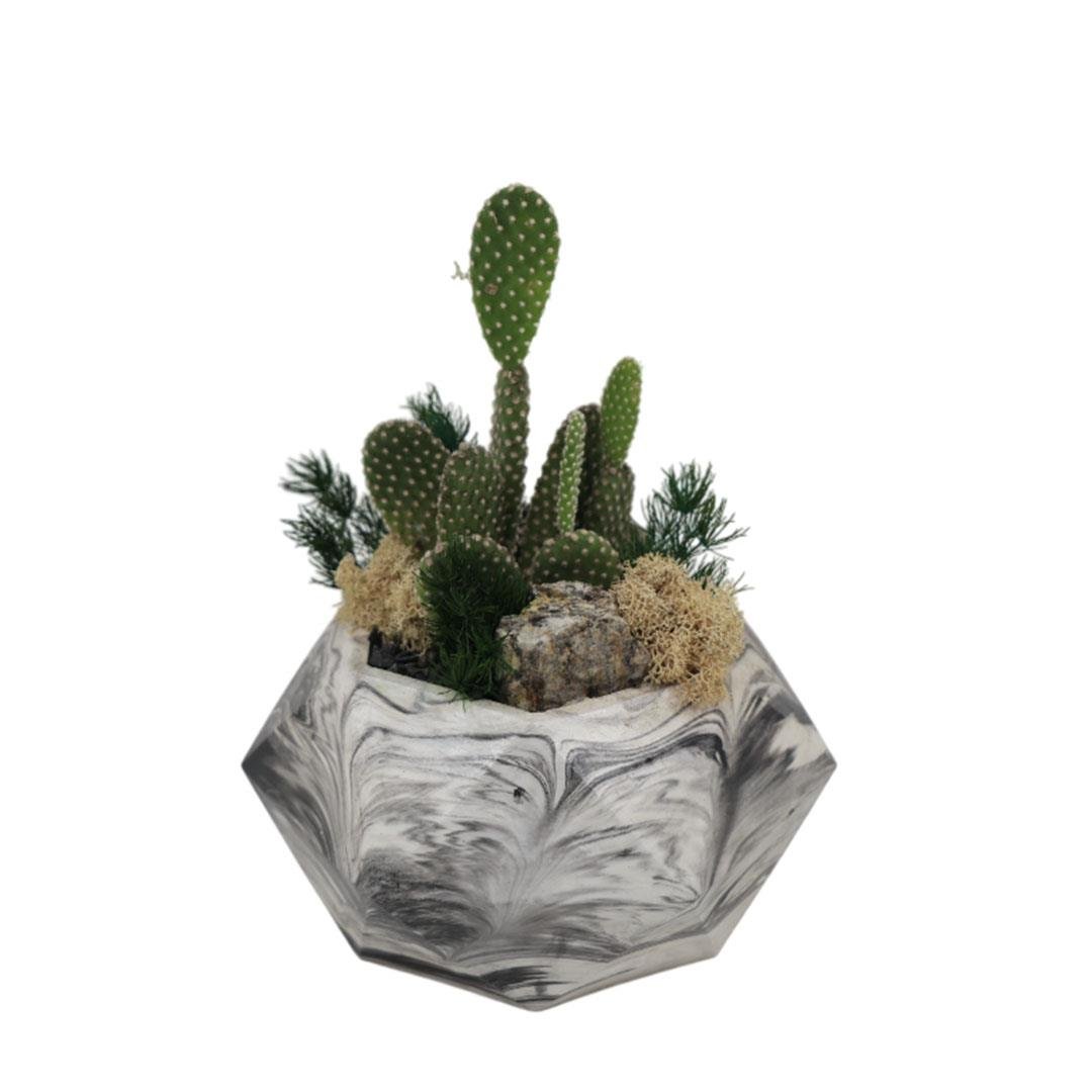 Terrarium (Terraryum) Aranjman-11