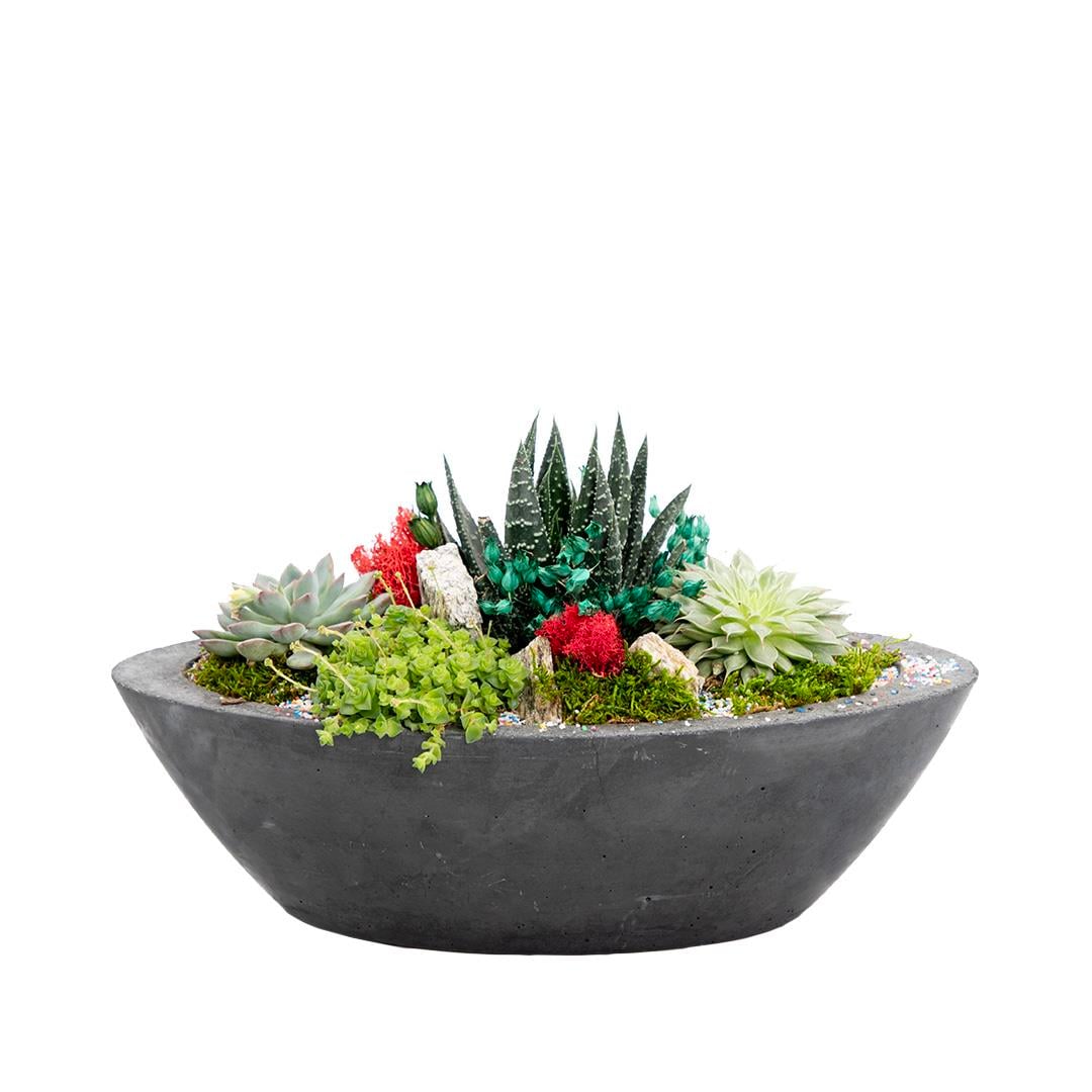 Terrarium (Terraryum) Aranjman 15