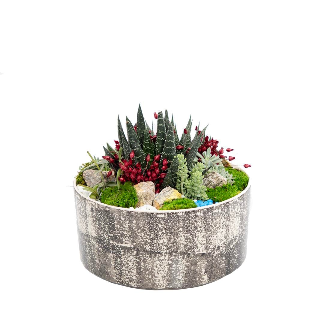 Terrarium (Terraryum) Aranjman 18