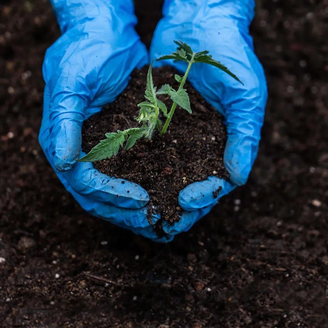 Toprak Laboratuvar Analiz Paketi 2