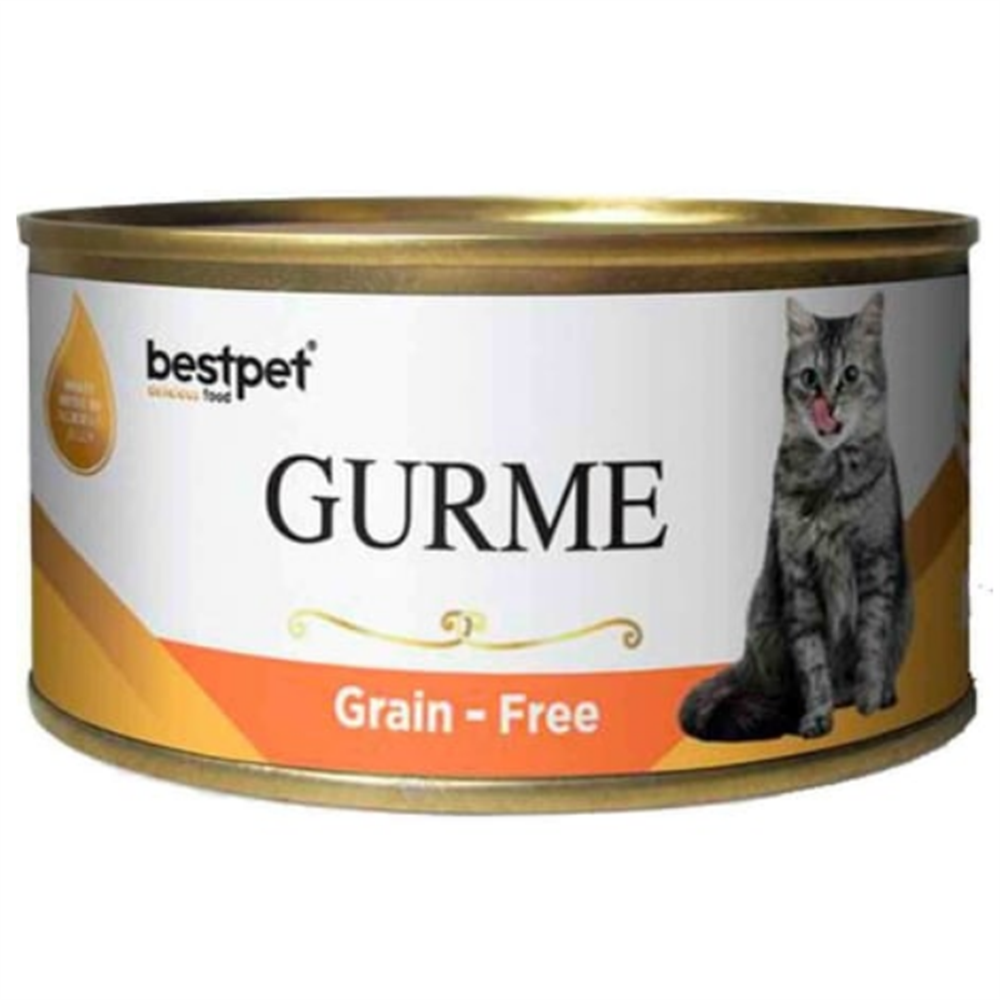 BestPet Gurme Kedi Konservesi Somonlu Parça Etli 100 Gr