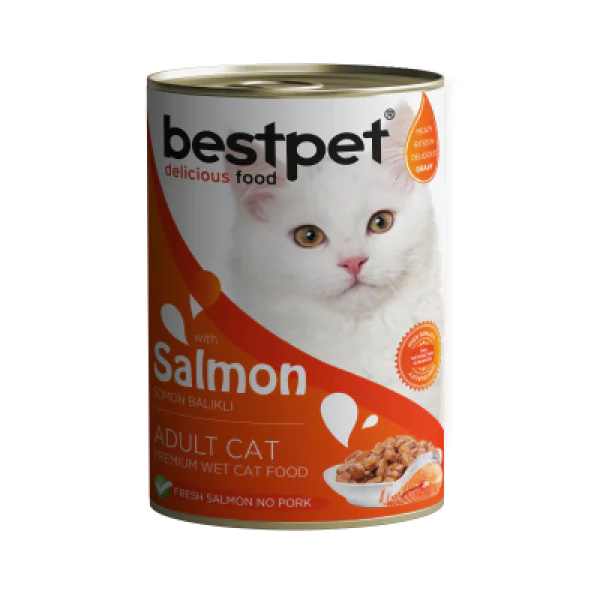 BestPet Somon Balıklı Yetişkin Kedi Konservesi 400gr