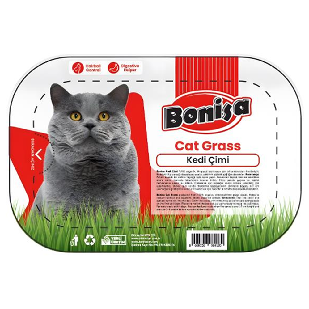 Bonisa Kedi Çimi ( Cat Grass )