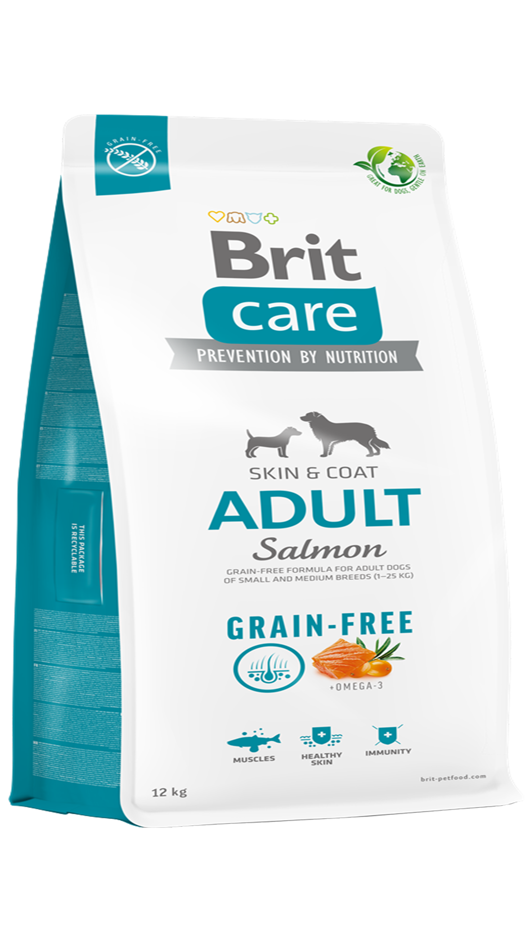 Brit Care Skin & Coat Tüm Irklar için Somonlu Tahılsız Yetişkin Köpek Maması 12kg