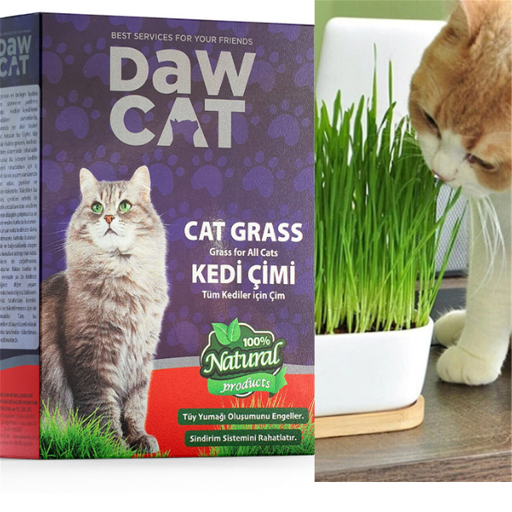 Dawcat %100 Doğal Fileli Kedi Çimi (Tüy Yumağı Önleyici)