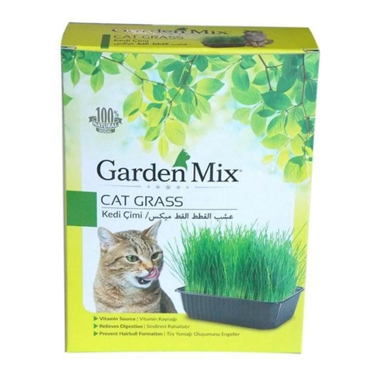 Garden Mix Kedi Çimi