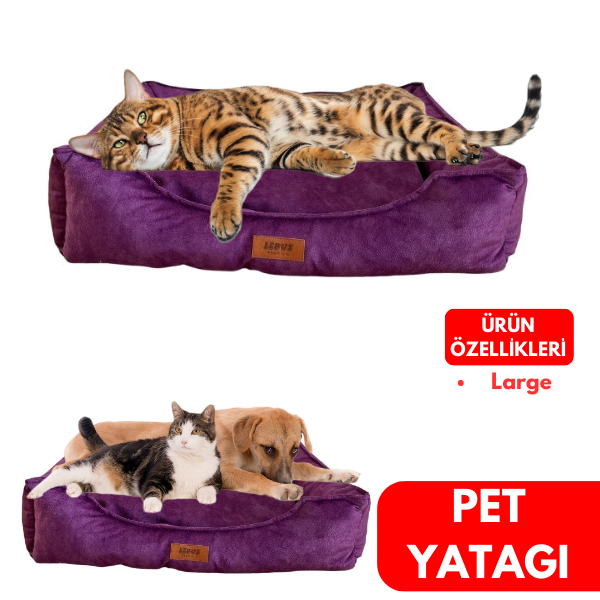 Lepus Kedi ve Köpek Yatağı Mor Large