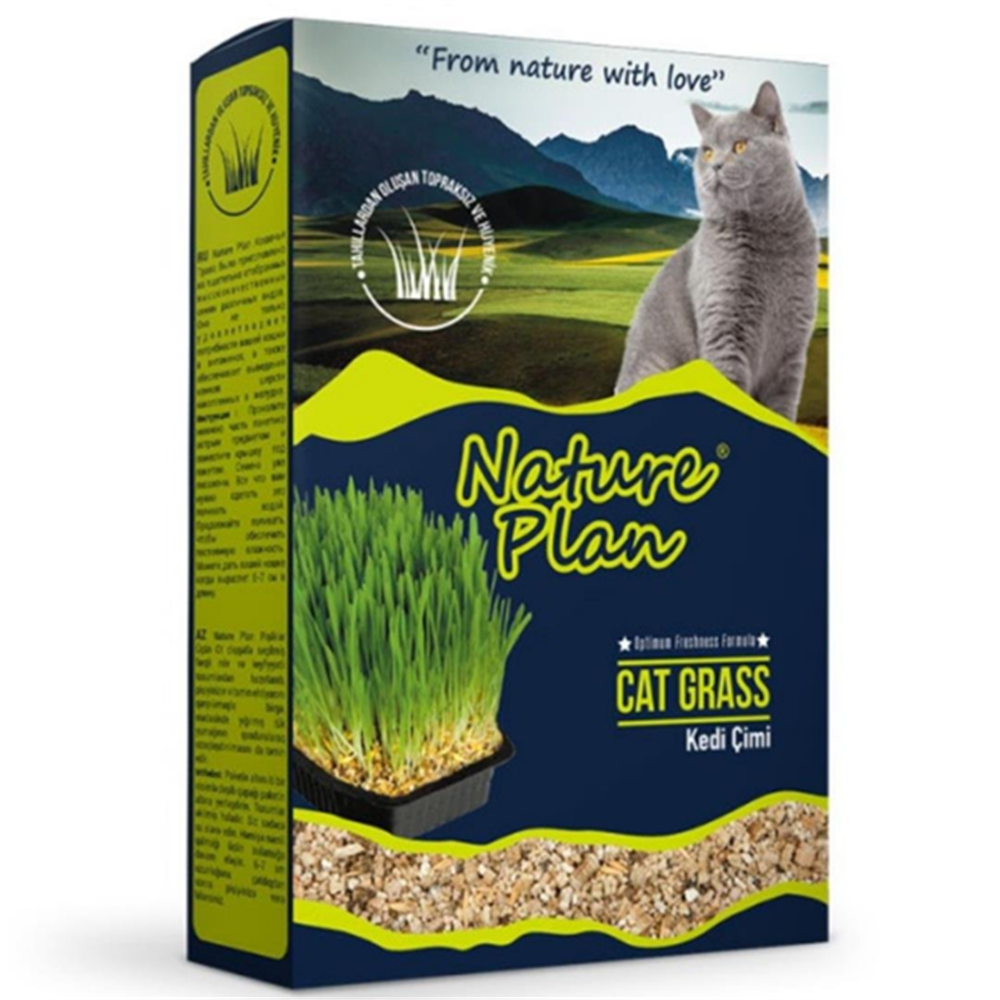 NaturePlan Kedi Çimi
