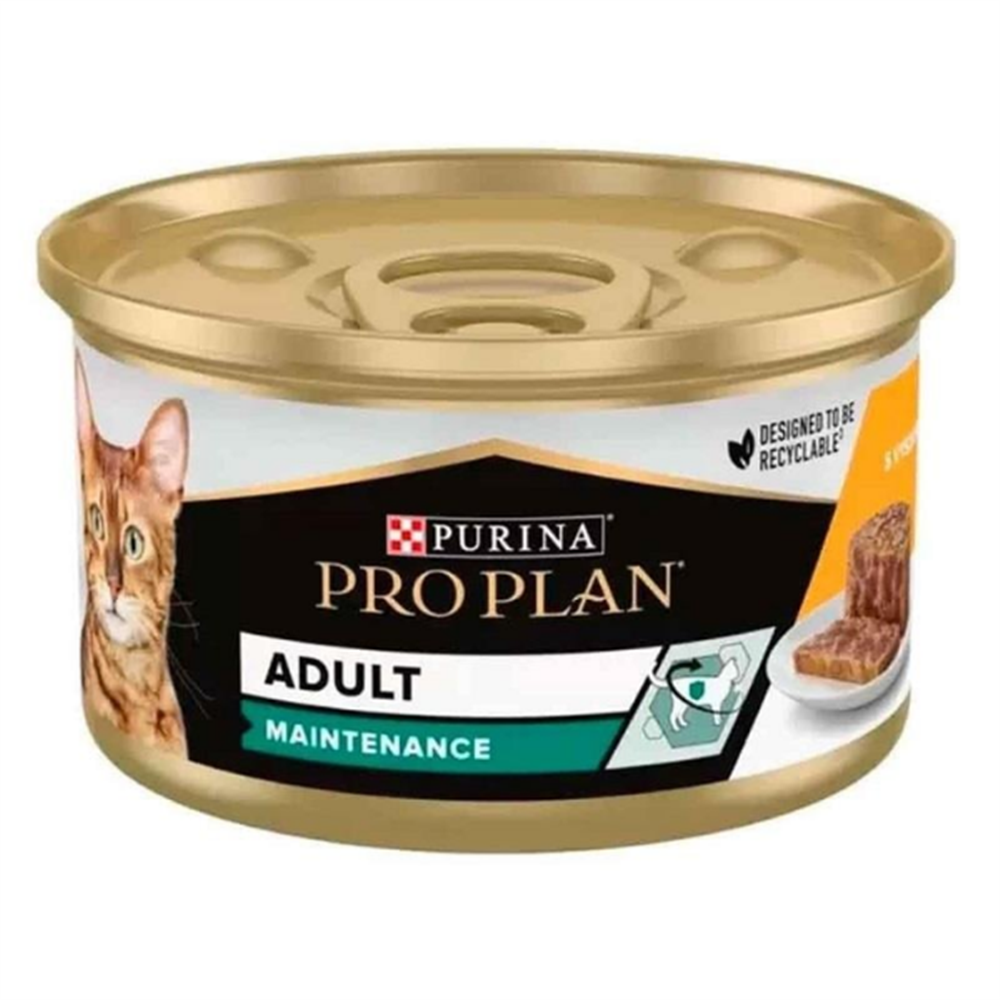 ProPlan Maintinance Tavuklu Kedi Konservesi 85 gr