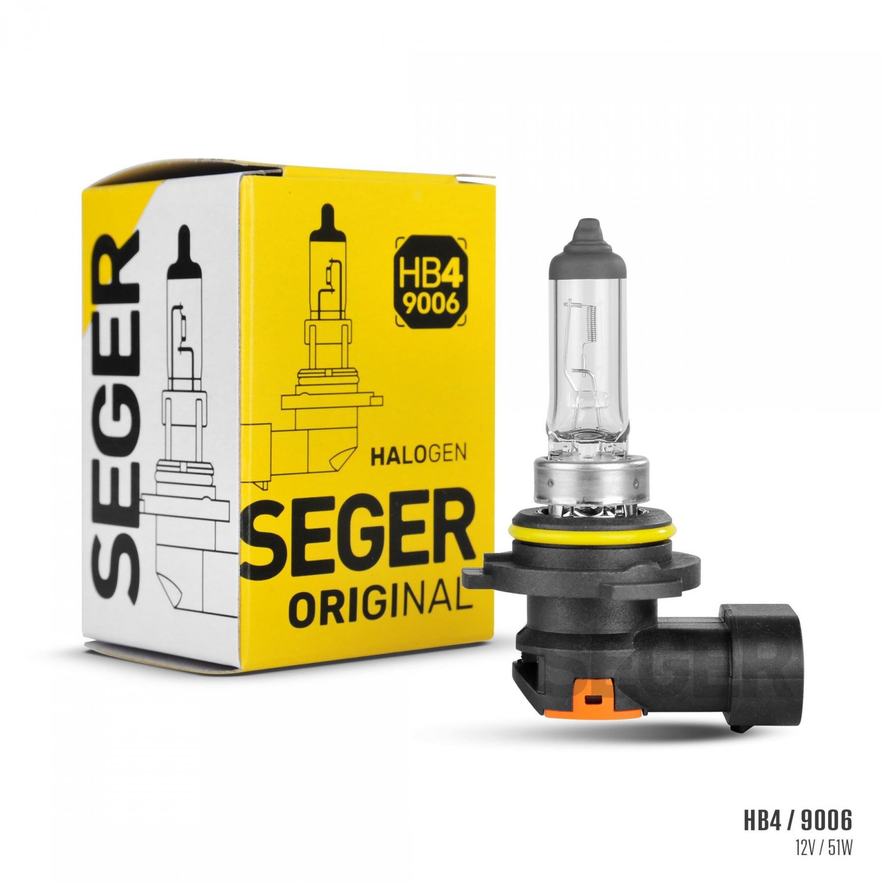 SEGER207690-Ampul Çeşitleri