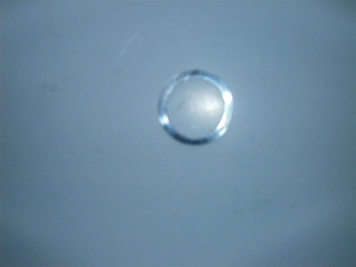 Trm Kasnak Ayna Ayar Rondelası 1,6Mm *2 562140