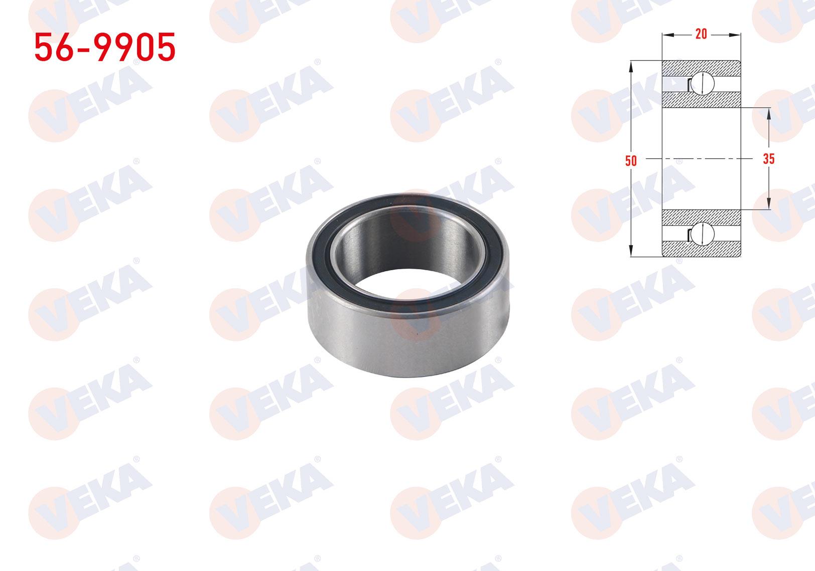 VEKA569905-Rulmanlar