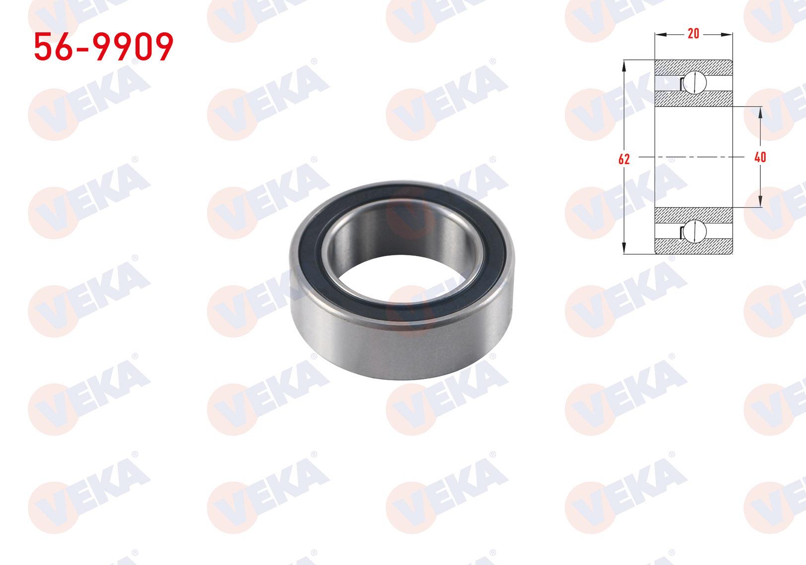 VEKA569909-Rulmanlar