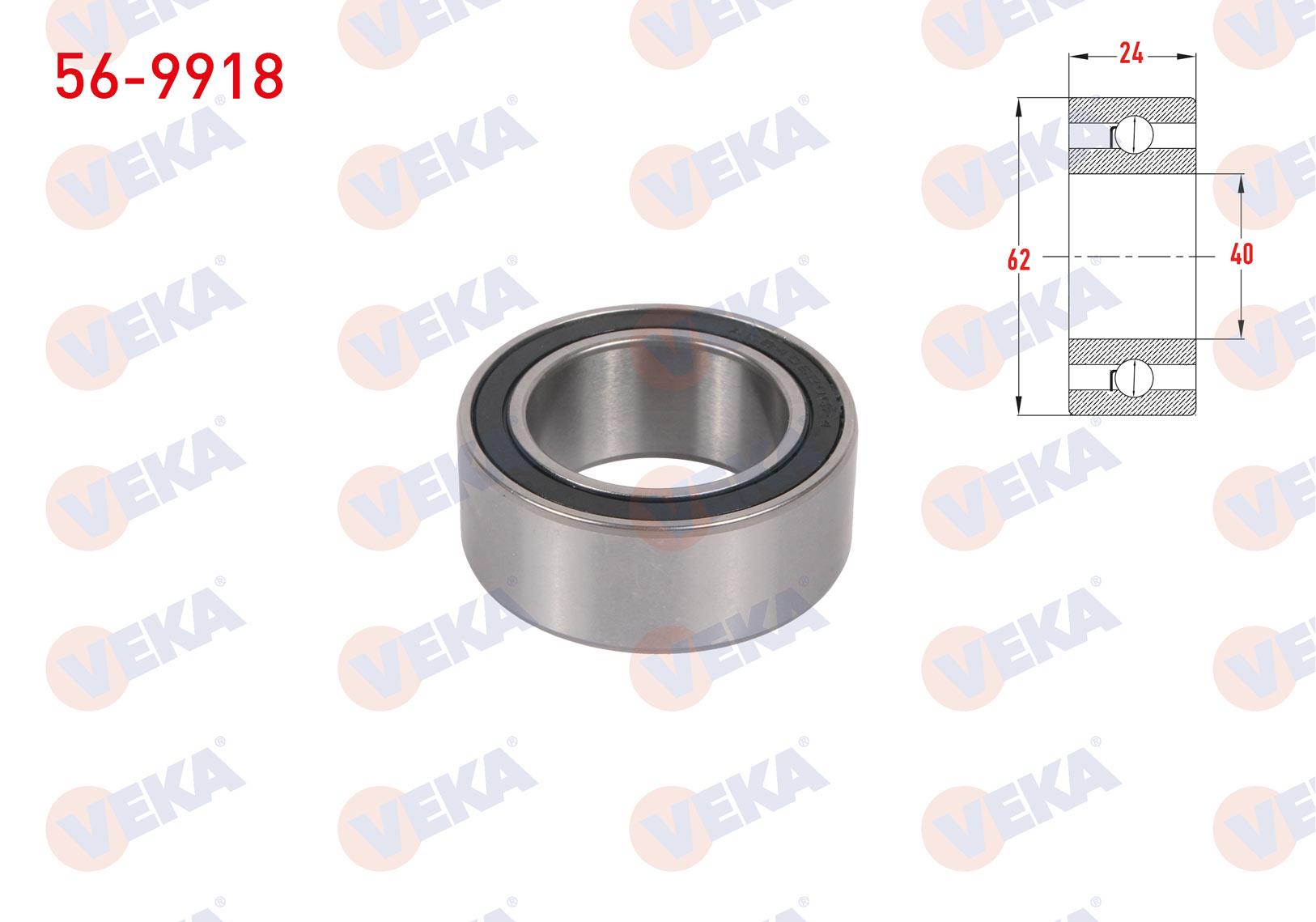 VEKA569918-Rulmanlar