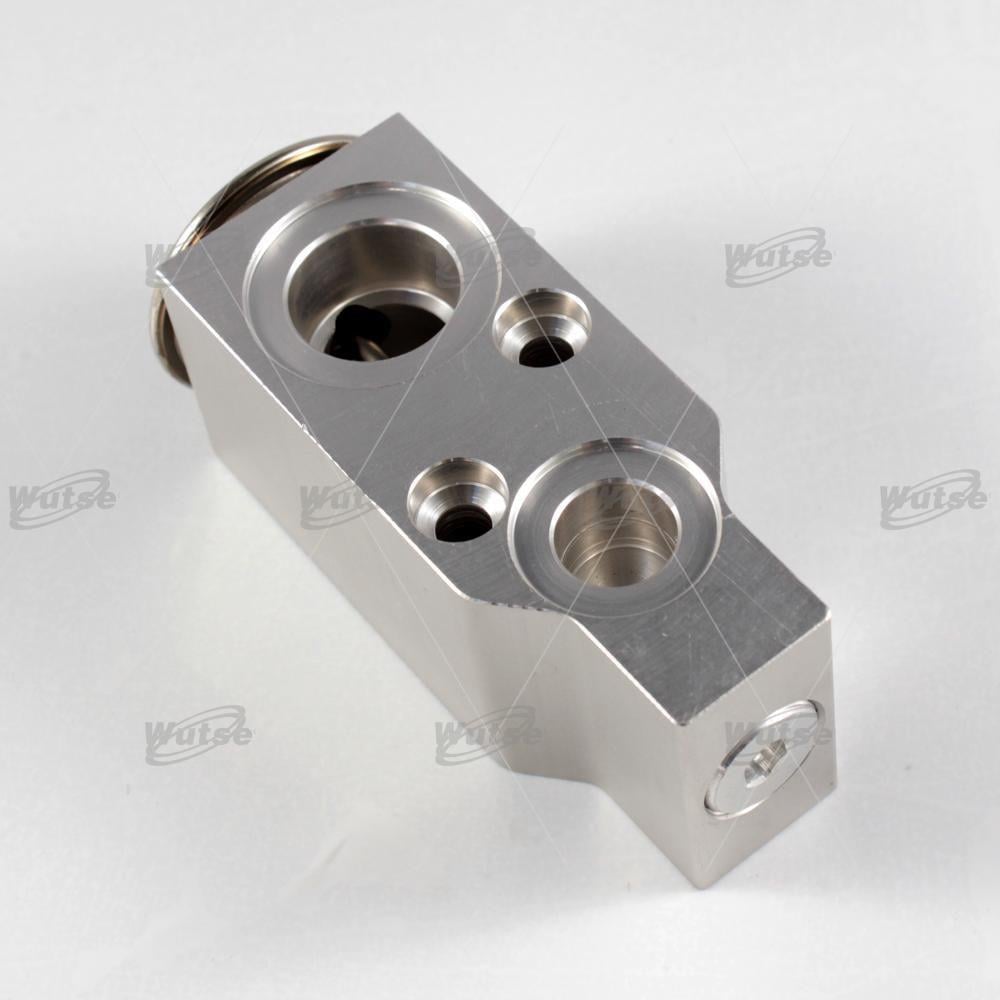 WUTSE42051040-Expansion Valf