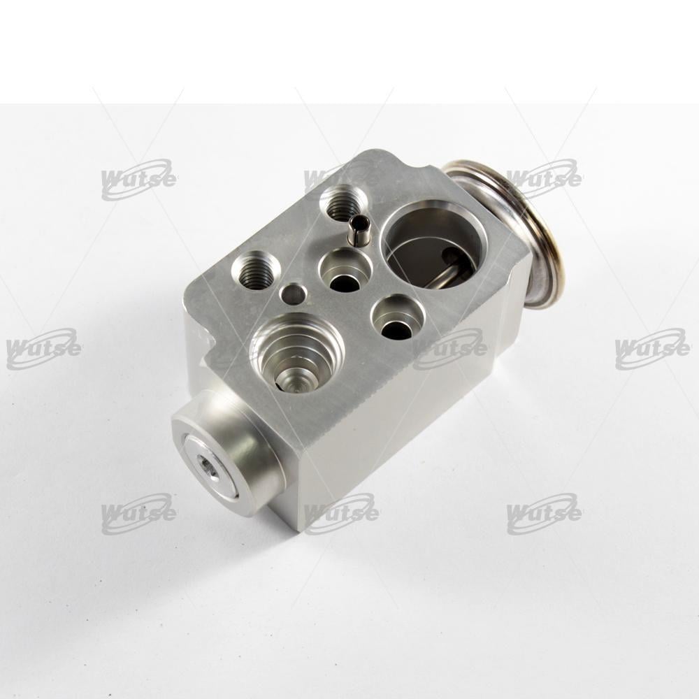 WUTSE42051041-Expansion Valf