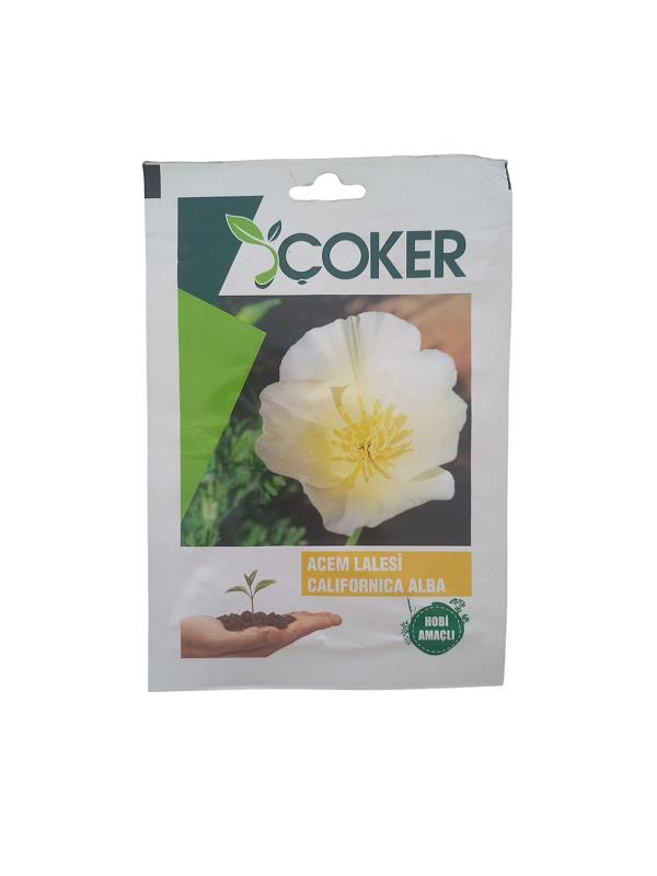 Çiçek TohumlarıÇokerÇoker Acem Lalesi Çiçek Tohumu