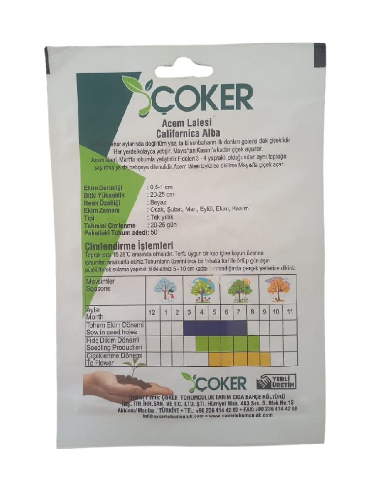 Çiçek TohumlarıÇokerÇoker Acem Lalesi Çiçek Tohumu