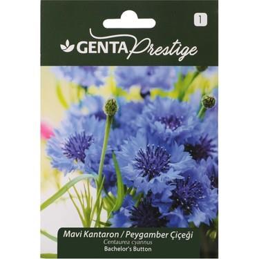 Çiçek TohumlarıGentaGenta Prestige Mavi Kantaron/Peygamber Çiçeği