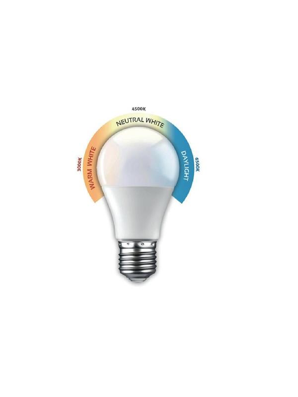 Aydınlatma ÜrünleriHorozHoroz Combo 10w Led Ampul 3in1