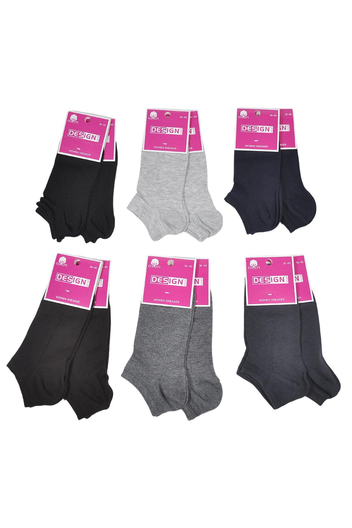 Düz Desensiz Patik Kadın Çorabı - Koyu Asorti - 36-40 Numara - %70 Pamuk | Design Socks