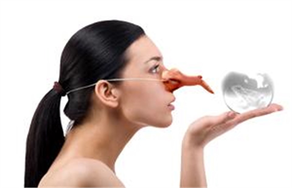 Cadı Burnu, Plastik