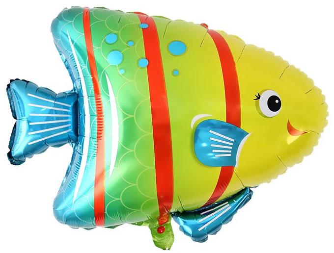 Çizgili Balık, Folyo Balon