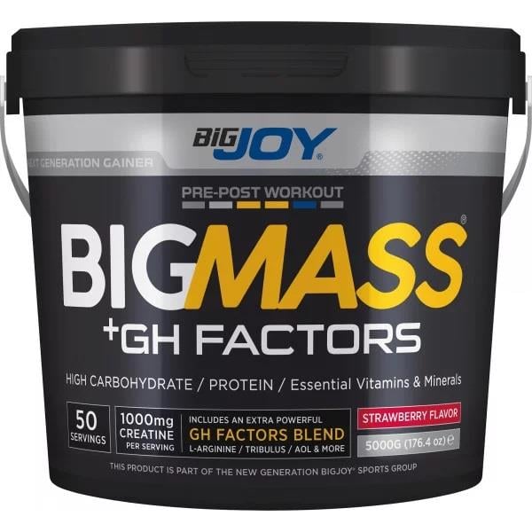 Big Joy Bigmass +GH Factors Çilek 5 kg-BiGJOY