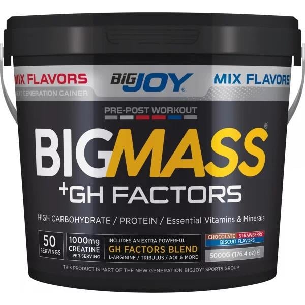 Bigjoy Sports BIGMASS Gainer GH FACTORS Mix Aroma 5000g-BiGJOY